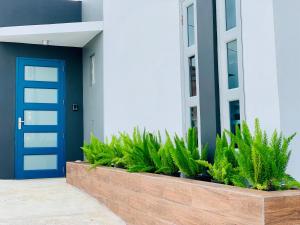 阿瓜迪亚Modern Suite #1 Pasavento的建筑物前的蓝色门和植物