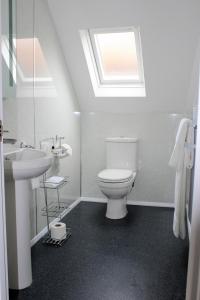 North Elmham国王头像酒店的浴室配有卫生间、水槽和天窗。