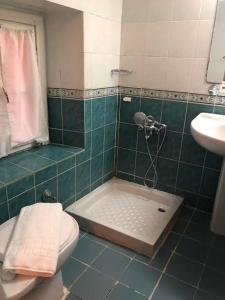 切什梅安提克里德凡酒店的带淋浴、卫生间和盥洗盆的浴室