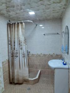 塞凡SPARTA Apartment Complex的浴室配有淋浴帘和盥洗盆。