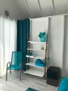 布达考拉斯LupaGlamping的书架和蓝色椅子的房间