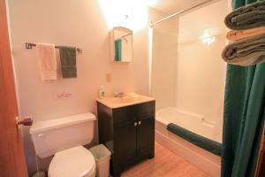Otter Lake阳光角度假村有限公司的浴室配有卫生间、盥洗盆和淋浴。