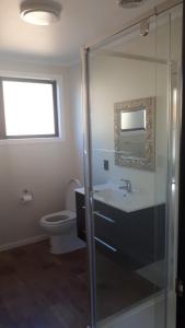 哈夫洛克Marlborough Sounds Accommodation的浴室配有卫生间、盥洗盆和淋浴。