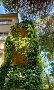 里乔内加尔尼野餐酒店的一座被绿色常春藤覆盖的建筑,位于大楼旁边