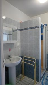 埃斯珀莱特Appartement en rez de chaussee de maison的一间带水槽和淋浴的浴室