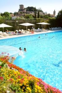 萨尔泰阿诺帕克德勒皮森酒店的游泳池,里面设有水中和遮阳伞