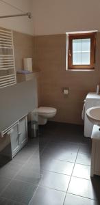 埃尔瓦尔德Pension Lischenhof的一间带卫生间、水槽和窗户的浴室