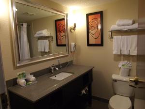 尼古拉斯维尔西南莱克星顿尼古拉斯维尔快捷假日酒店的一间带水槽、镜子和卫生间的浴室