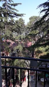 乌雷基Apartment Zhemchuzhina Ureki 2的从阳台欣赏树木和建筑的景色