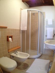 BianzoneAgriturismo Antico Filare的带淋浴、卫生间和盥洗盆的浴室