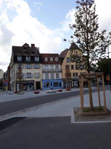斯特拉斯堡Le Quai 2的中间有建筑物和树的城市街道