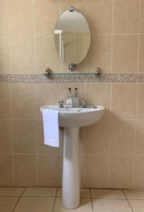 CorconnellyClones 'Greenjoy - B&B的浴室设有白色水槽和镜子