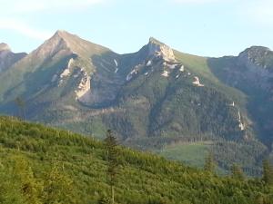 恰萨纳格拉Wynajem Pokoi ,,Góry Tatry Wypoczynek "Paweł Kuczyński的享有山脉和树木的景致