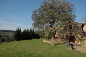 基安蒂格雷夫Romantic House的一座古老的石头房子,在田野上种着树