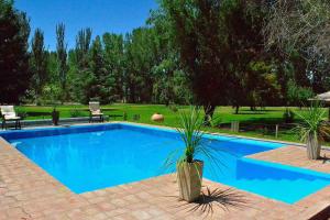Eugenio Bustos拉西莉亚乡村民宿的一座蓝色的游泳池,两株植物位于庭院内