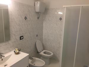 蒙泰内罗迪比萨恰Corte Soriano的浴室配有卫生间、盥洗盆和淋浴。