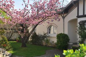 圣莫代福塞巴黎河滨旅馆 的房子的院子中的玉兰树