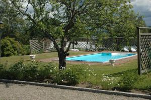 耶尔夫瑟加弗索巴登酒店的树荫庭院中的游泳池
