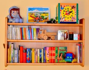 茨维泽尔Bauernhof König的书架上摆放着书籍和玩具