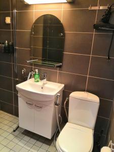 库奥皮奥City Apartment Haapaniemenkatu的一间带卫生间、水槽和镜子的浴室
