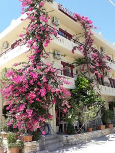卡拉马基Knossos Hotel的相册照片