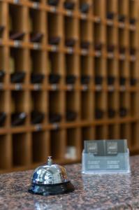 科扎尼阿尼西斯酒店的银圆茶花在柜台上