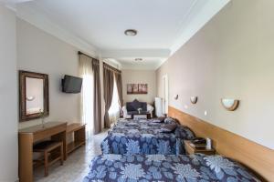 科扎尼阿尼西斯酒店的酒店客房配有两张床和一张书桌