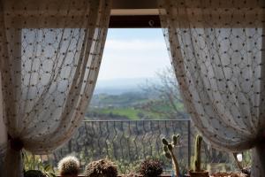 PoggioloTenuta San Savino delle Rocchette的窗户配有窗帘,享有葡萄园的景致