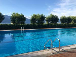 波尔托瓦尔特拉瓦利亚Casa Anna - Parco Hermitage的一个种有树木的大型蓝色游泳池