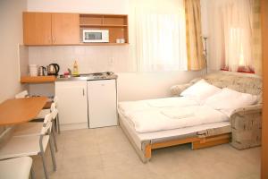 尼尔巴托尔萨尔卡尼康体及Spa公寓的带沙发的小客厅和厨房