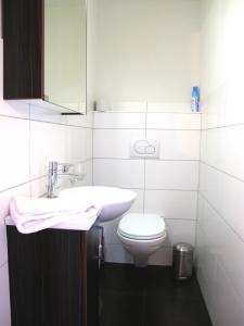 贝特默阿尔卑Bergquelle Dachwohnung的白色的浴室设有水槽和卫生间。
