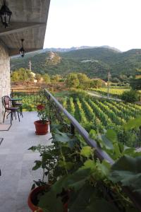 威尔帕扎Studio and winery Kalimut的享有葡萄园景致的庭院