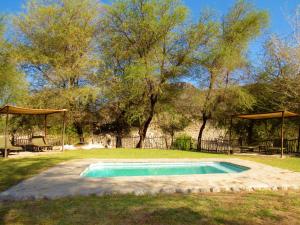 KhowaribKhowarib Lodge的庭院中间的小游泳池