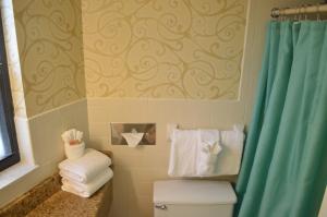 代托纳海滩代托纳比奇太阳海盗酒店的浴室设有卫生间和蓝色的浴帘。