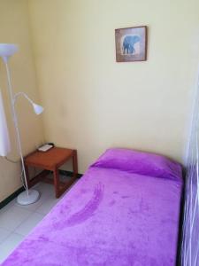 拉奥利瓦FUERTEVENTURA VISTAMAR的一间卧室配有一张紫色床、一盏灯和一张桌子