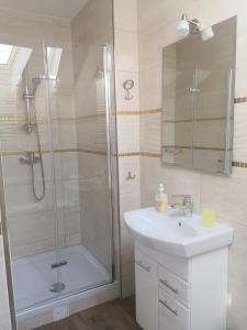 拉伊恰Leniwy Motyl的带淋浴和盥洗盆的浴室