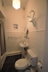 格拉斯哥Bright and Cosy West End Apartment的一间带卫生间和水槽的浴室