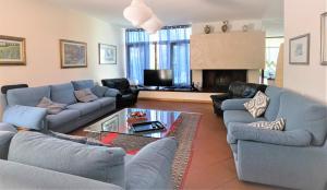 马瑞纳迪卡拉拉B&B Villa Apuana的客厅设有蓝色的沙发和壁炉
