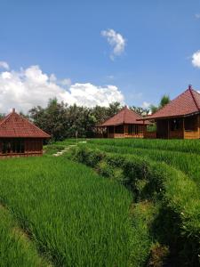 德格拉朗Ubud Sawah Scenery Villa and Homestay的一片绿草丛,有房子的背景