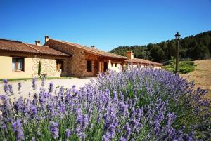 Peñasrubias de PirónHotel Del Verde Al Amarillo的一座建筑前方的紫色花田