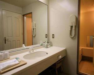 白滨白浜奇特莱斯希莫尔酒店的一间带水槽和大镜子的浴室