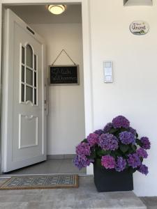 格拉绍Haus Vincent的有一扇门,上面有一盆紫色的花和标志