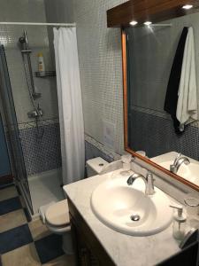 圣地亚哥海滩Apartamento El Cascajo的一间带水槽、卫生间和镜子的浴室