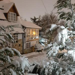 乌斯怀亚Del Bosque 487 Apartamento的窗户上灯的雪覆盖的房子