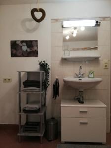 图尔菲斯Studio的一间带水槽和镜子的浴室