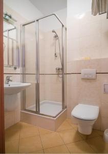 Karczyce卡尔斯次酒店的带淋浴、卫生间和盥洗盆的浴室