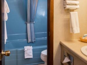 拉皮德城麓山酒店的浴室设有卫生间和蓝色的浴帘。