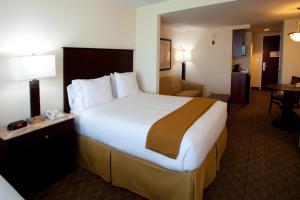 哥伦布哥伦布北湖智选假日套房酒店的酒店客房带一张大床和一把椅子
