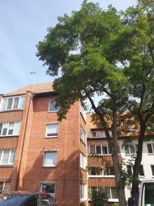 奈达Apartamentai Taikos 10-36 Nida的前面有一棵树的高大的砖砌建筑