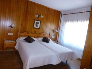 托尔拉Hotel Bellavista Ordesa的卧室设有一张白色大床和一扇窗户。